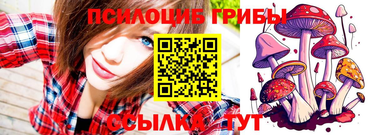 Избербаш  Псилоцибиновые грибы Magic Shrooms  Галлюциногенные грибы мухоморы  хочу наркоту  Вход с VPN 