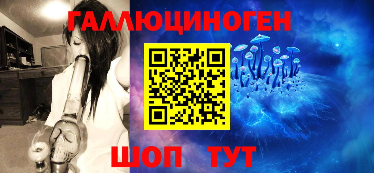 Псилоцибиновые грибы мухоморы Избербаш
